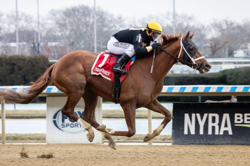 Drum Roll Please wins Saturday's Jerome Stakes for 3-year-olds at Aqueduct. Coglianese photo by Walter Wlodarczyk/courtesy of New York Racing Association)