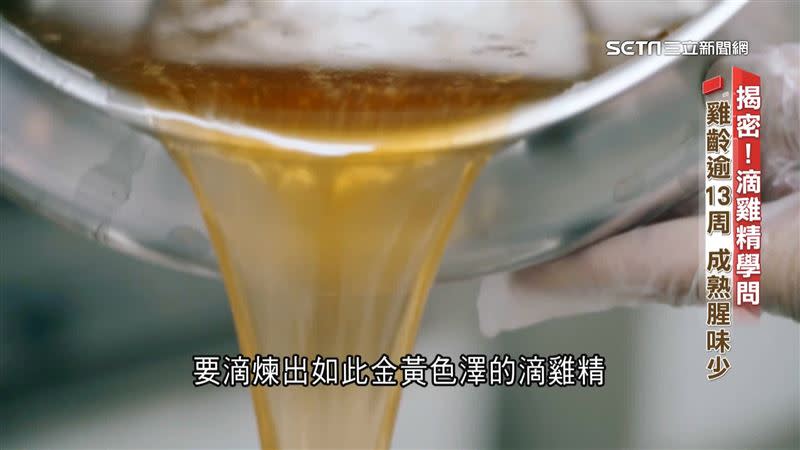 滴雞精學問大揭密，公雞與母雞價值大不同。