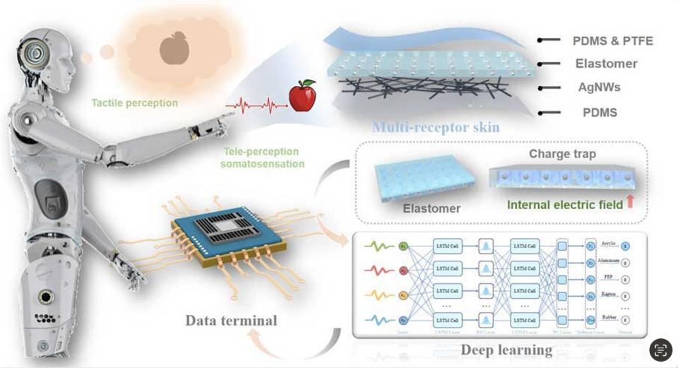 Roughly illustration of the team's multi-receptor skin concept. Credit: Du et al