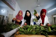 Gazans extract essential oils from aromatic herbs to make cosmetics