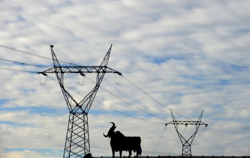 FILE PHOTO: Power lines are seen next to a publicity board in El Berron, northern Spain