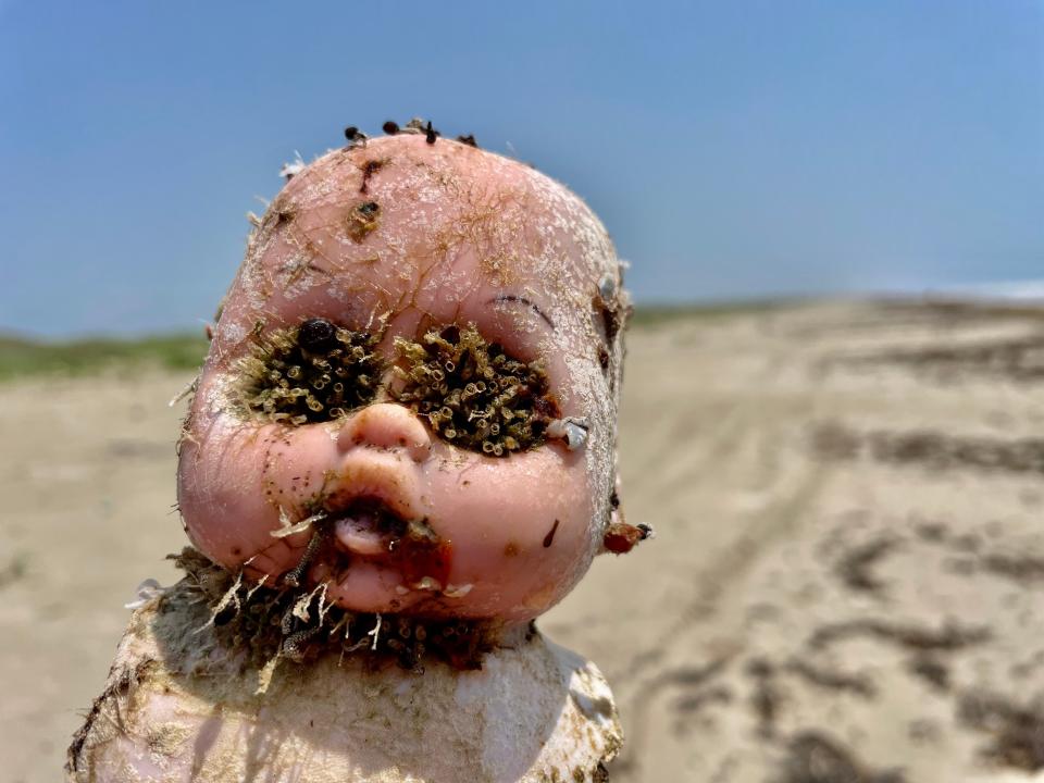 A barnacle-covered doll found in Texas.