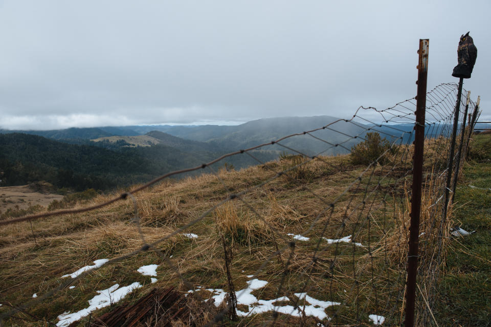 Snow remained on one of the Skyline Farms cannabis properties outside of Redway, Calif. (Alexandra Hootnick for NBC News)