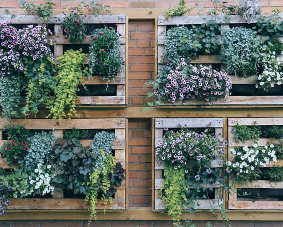 5. Use wooden pallets as a planter system