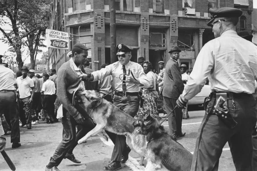 African American high school student Walter Gadsden, 15, an onlooker to the protest, is attacked by a police dog during a civil rights demonstration in Birmingham, Ala., on May 3, 1963. (AP Photo/Bill Hudson, File)