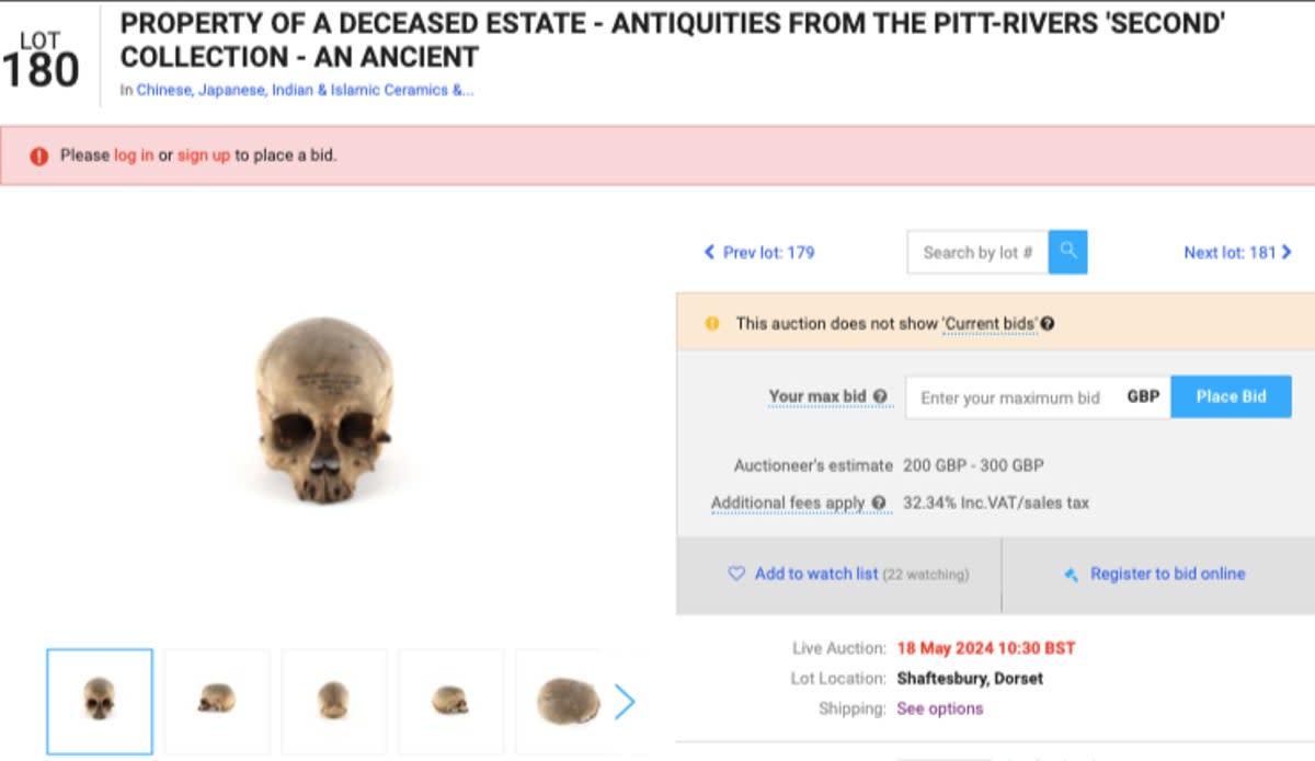 According to listings, the remains were originally unearthed in the southwestern region of Egypt in north Africa in 1881 by Augustus Henry Lane-Fox Pitt-Rivers, who’s often referred to as the “father of British archaeology”.  (Screenshot)