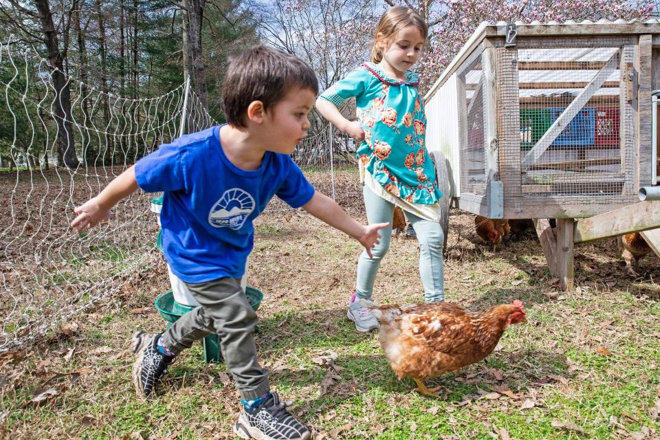 From left, Jimmy Albanese, 4, and Piper Albanese, 6, learn a bit about farming and animal care on the R.O.O.T.S. (Reaching Outside of Traditional Schooling) Youth+ Development Program's family homestead in Georgetown, Wednesday, March 13, 2024.