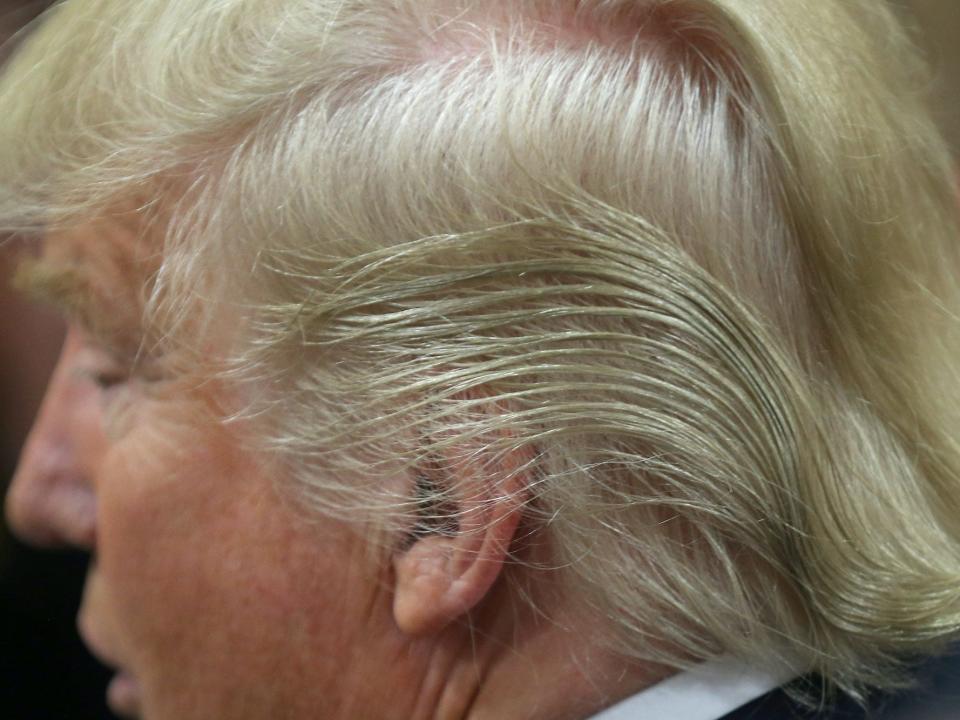 donald trump hair