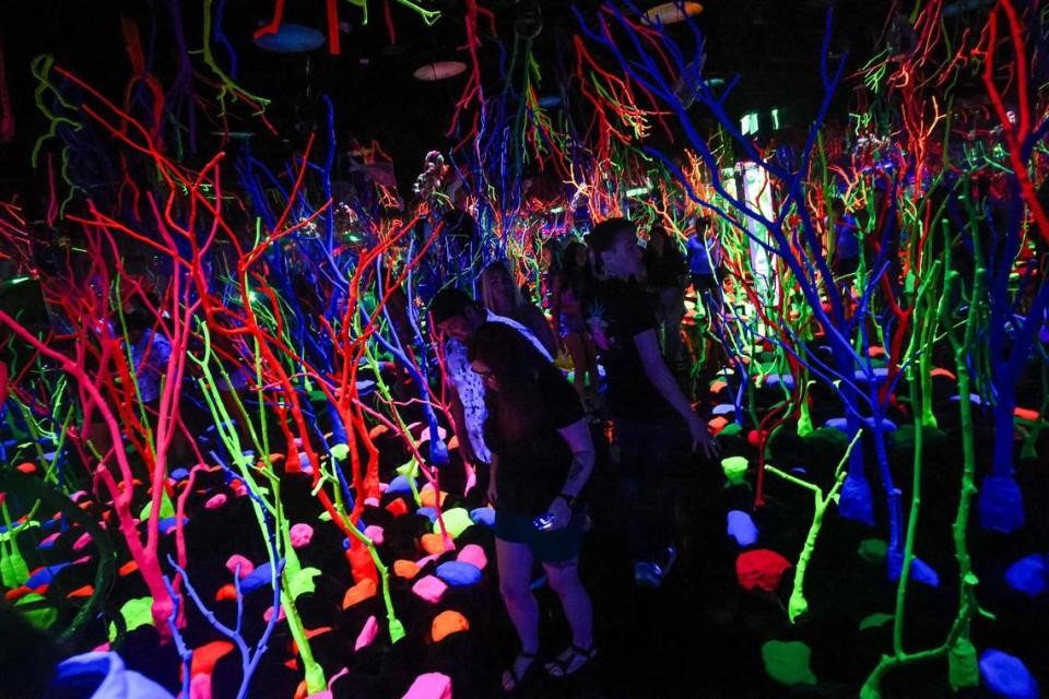 Exhibit attendees walk through the Glowquarium exhibit at the Meow Wolf Grapevine ‘The Real Unreal’ at the Grapevine Mills Shopping Mall in Grapevine, Texas on Thursday, July 20, 2023. Chris Torres/ctorres@star-telegram.com