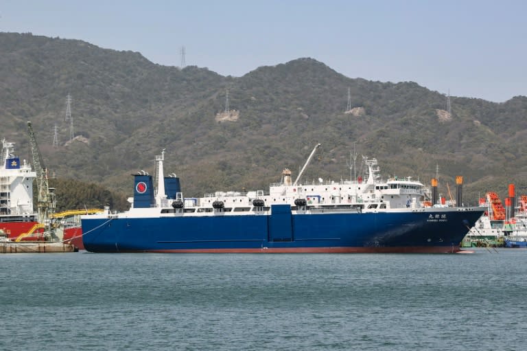 Le nouveau navire amiral baleinier du Japon, l'un des rares pays au monde à poursuivre cette pêche controversée.  Le Kangei Maru, navire-usine et cargo de plus de 100 mètres de long et près de 9.300 tonnes, qui doit partir en chasse pendant plusieurs mois le long des côtes nord-est du Japon, au départ de Shimonoseki (ouest), principal port de la chasse baleinière au Japon. le pays.  Photo prise le 29 mars 2024 (STR)