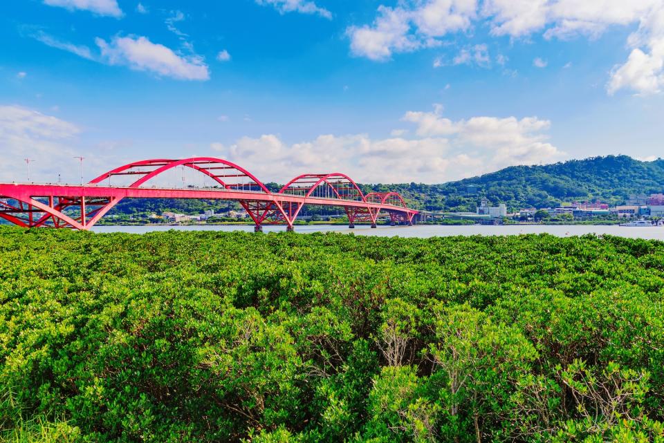 關渡自然公園（圖片來源：getty creative）