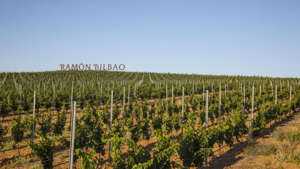 Vineyards of Bodegas Ramón Bilbao<p>Courtesy of Zamora Company</p>