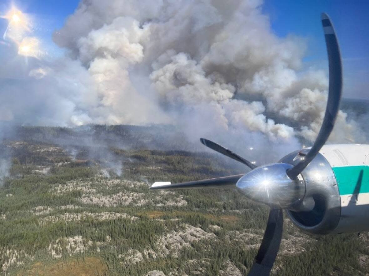 An aerial view of a wildfire burning about 38 kilometres from Fort Smith, N.W.T., pictured on  Aug.18. Residents of the community are warned of possibly heavy smoke over the next few days. However, the community is not at risk from the fire itself. (Department of Environment and Natural Resources - image credit)