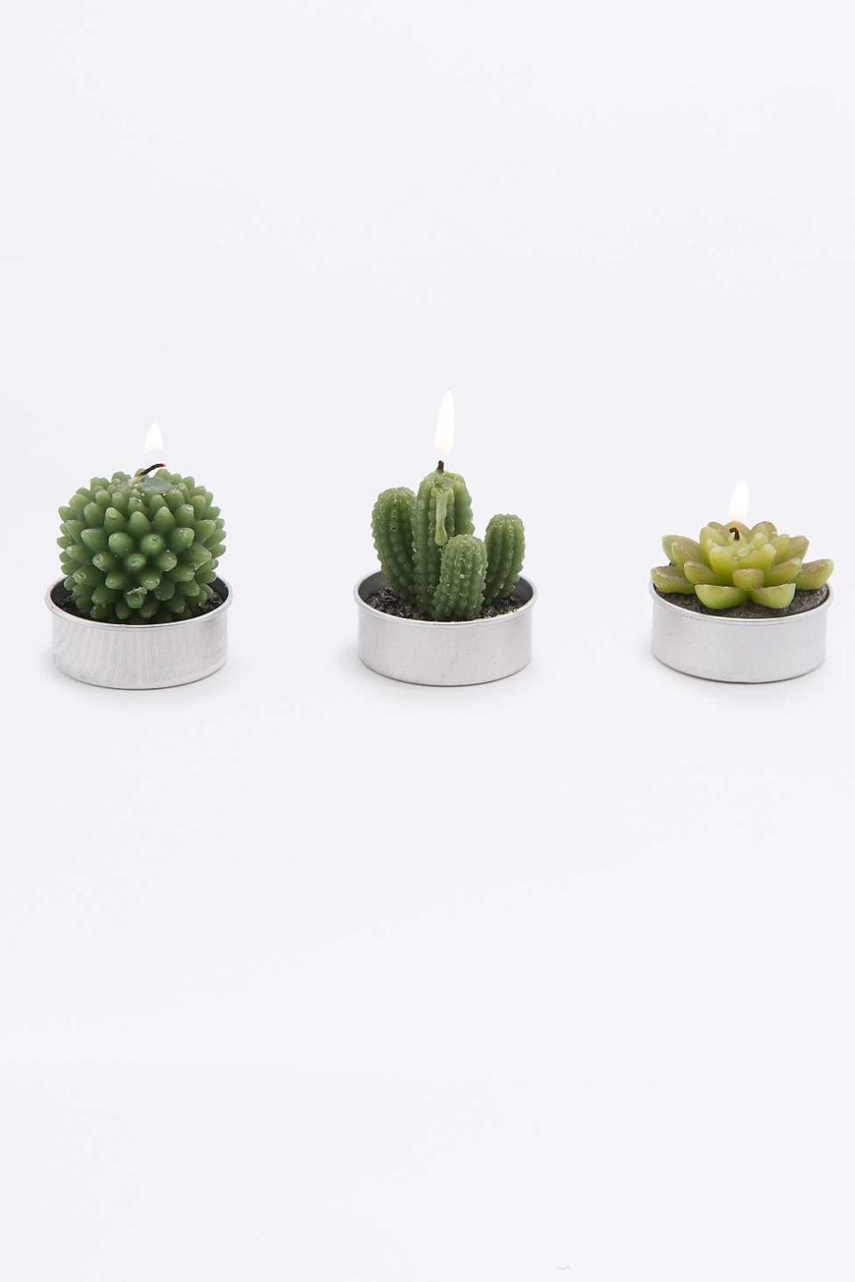 Succulent Candles