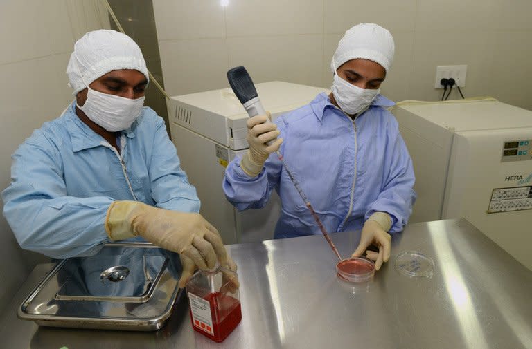 Shruti Dave (right) and Chetan Patel work on stem cells at the Civil Hospital campus in Ahmedabad in February. Since the birth of the sheep Dolly in 1996 in the United Kingdom, the first cloned animal, researchers have cloned some 20 species including goats and rabbits, but never monkeys or primates whose biologies and reproduction is more complex