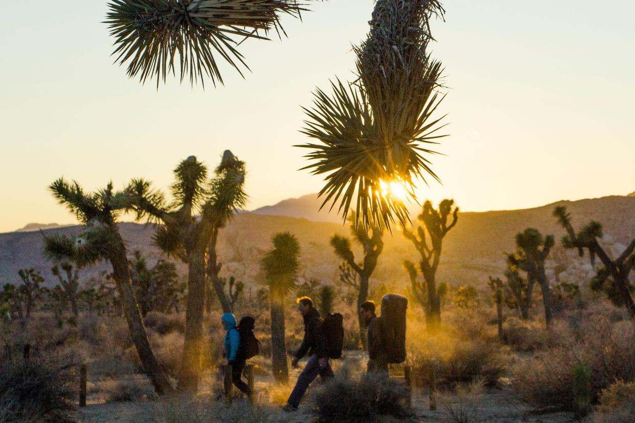 Rock climbers carry their gear along Joshua Tree National Park's Barker Dam Trail.