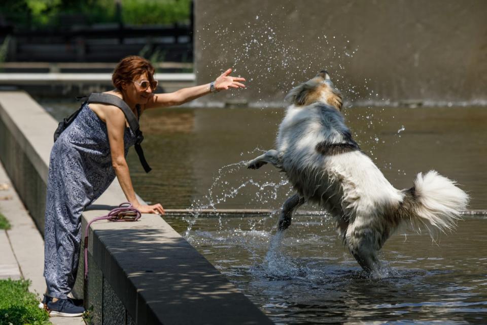 A dog and its owner play in the water at Sherbourne Common in Toronto, on July 4, 2023. Environment and Climate Change Canada issued a heat warning for Toronto, with temperatures expected to rise to a high of 33 degrees this week.