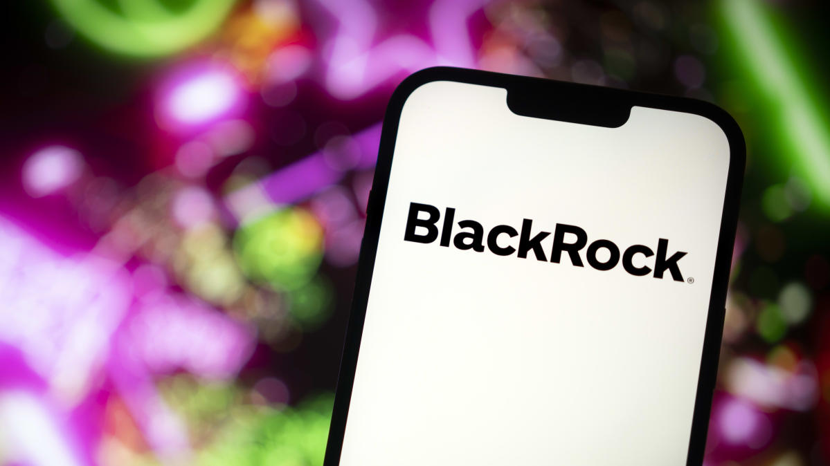 BlackRock 2024 outlook views Fed rate cuts to be 'overdone'