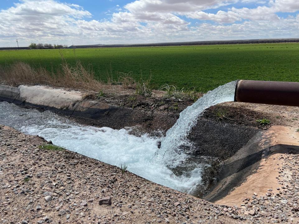 Water distribution from the Elephant Butte Irrigation District's Mesilla lateral canal in Las Cruces, N.M. on Tuesday, March 22, 2022.