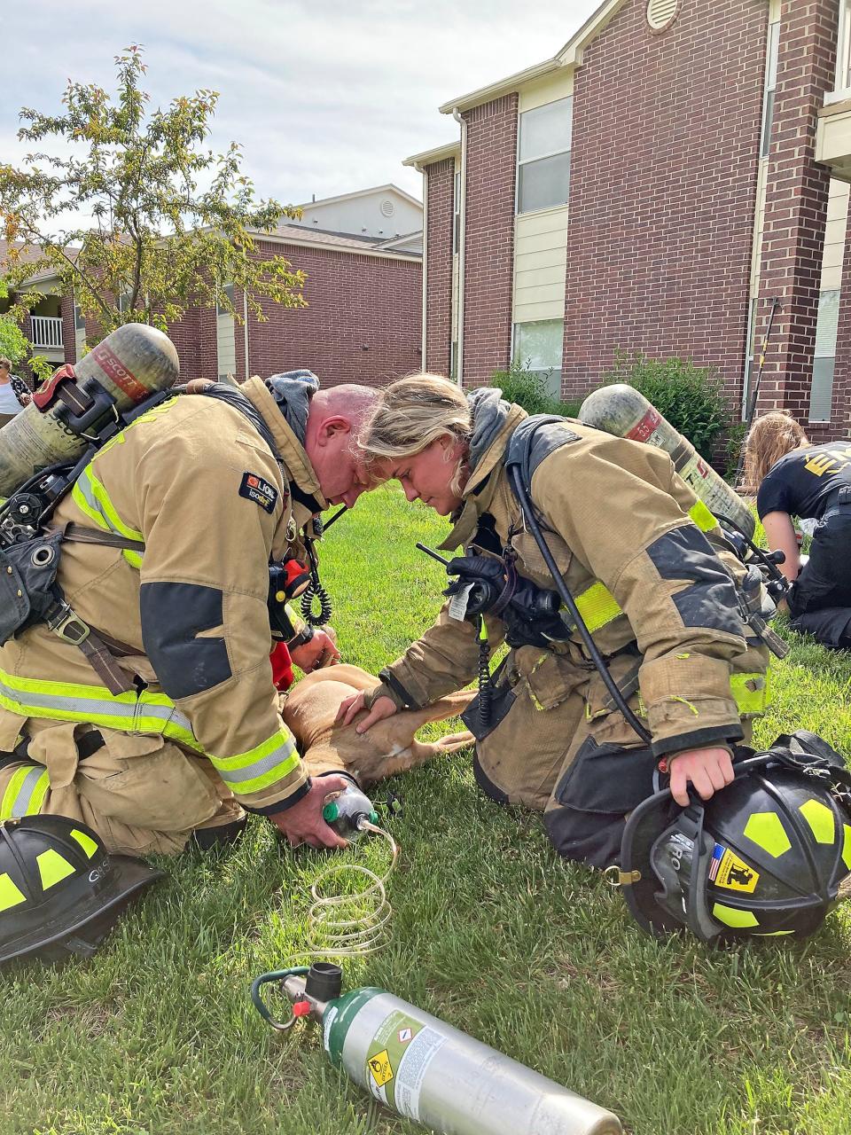 Columbia Fire Department personnel treat a dog with oxygen Sunday after it was rescued as part of a response to an aparment fire in Columbia. 