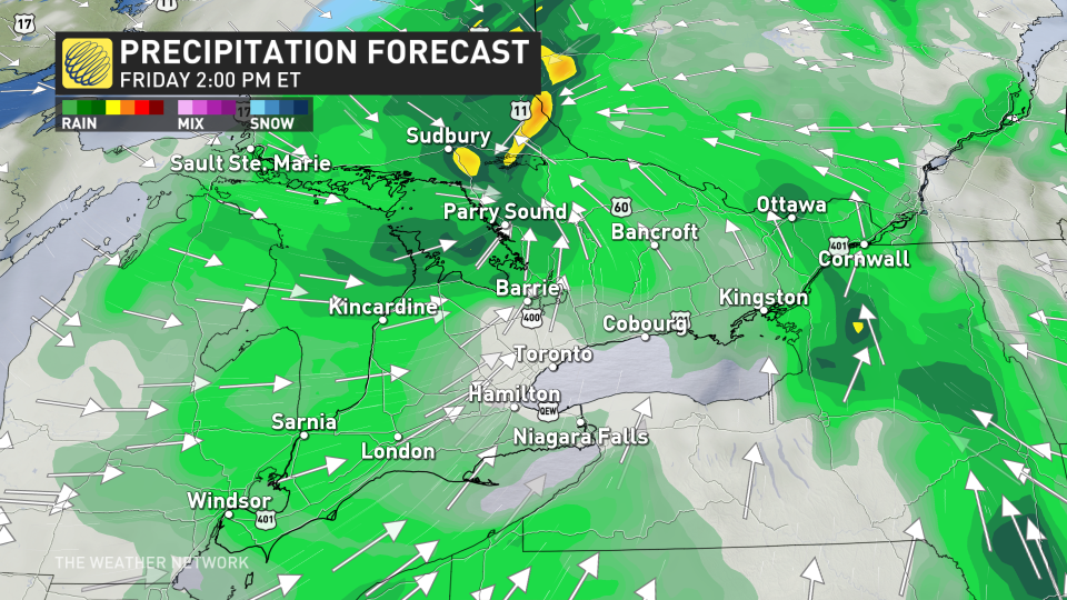 Baron - Ontario Friday 2 pm precip.jpg