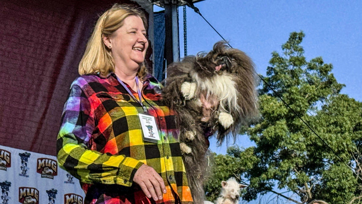 Wild Thang Wins World S Ugliest Dog Contest In Petaluma   7e78dcd2cad6b06922cf95faa5dbd43c