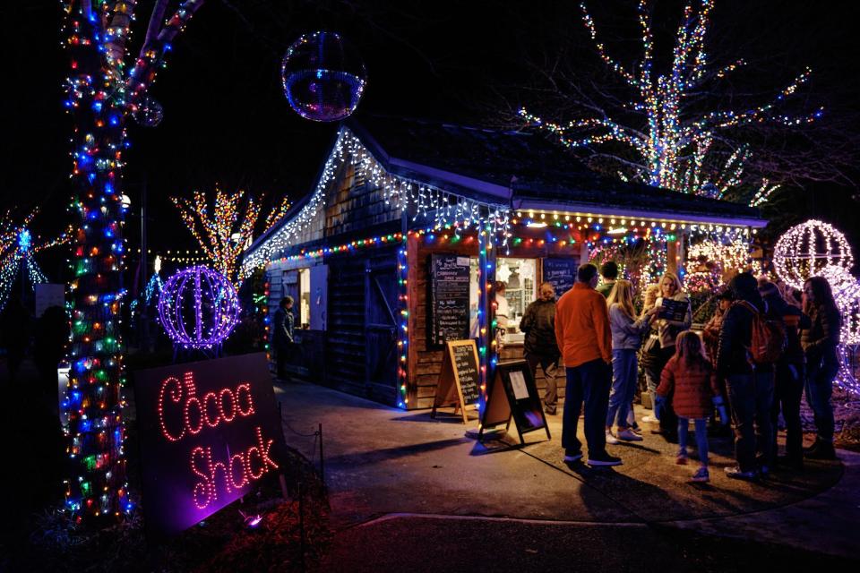 Scenes from the annual Winter Light show at The North Carolina Arboretum.