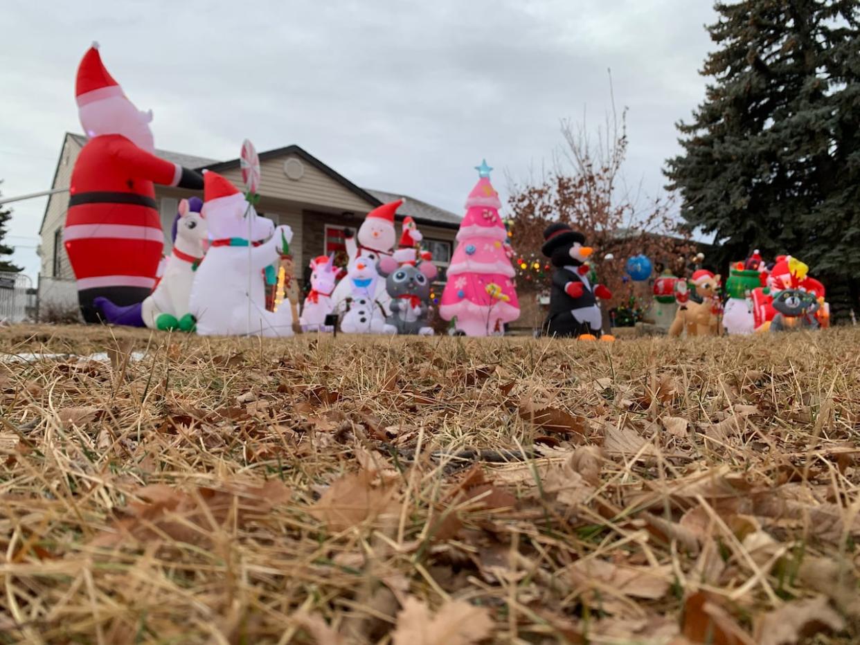 The current weather forecast for Edmonton suggests the city may not have a white Christmas this year.  (Nathan Gross/CBC - image credit)