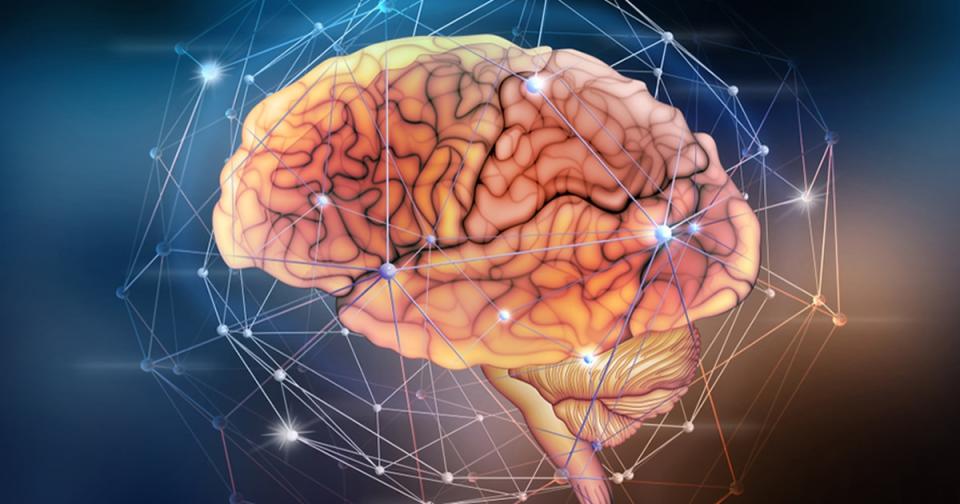 Neurociencia, Ética y Derecho – El Financiero