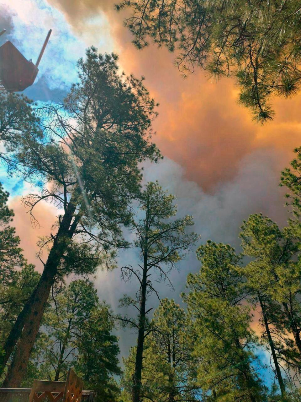 PHOTO: Smoke from a wildfire rises over trees in Ruidoso, N.M., June 17, 2024. (Jacquie Escajeda via AP)