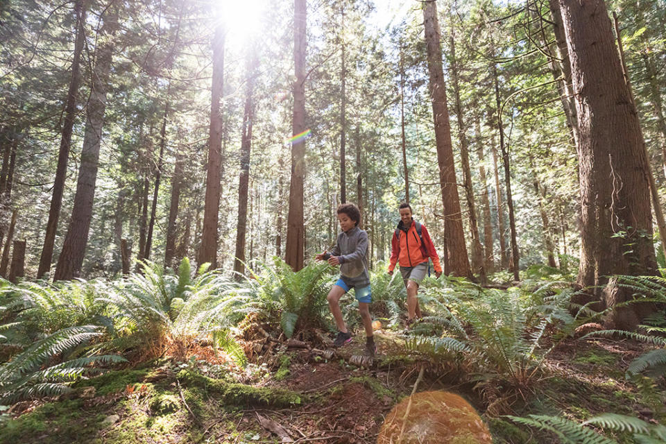 Two people wearing shorts hiking in the woods, where ticks can be lurking. Ticks can cause several potential health issues, but a lot depends on the type of tick.