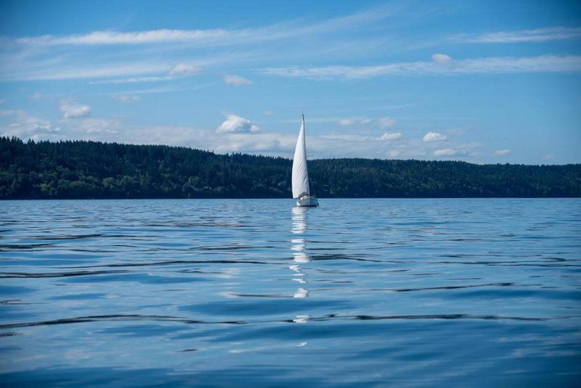 Most days, Ryan Dicks is accompanied by only a few other sailboats while he is searching for wildlife on the water around Point Defiance. 