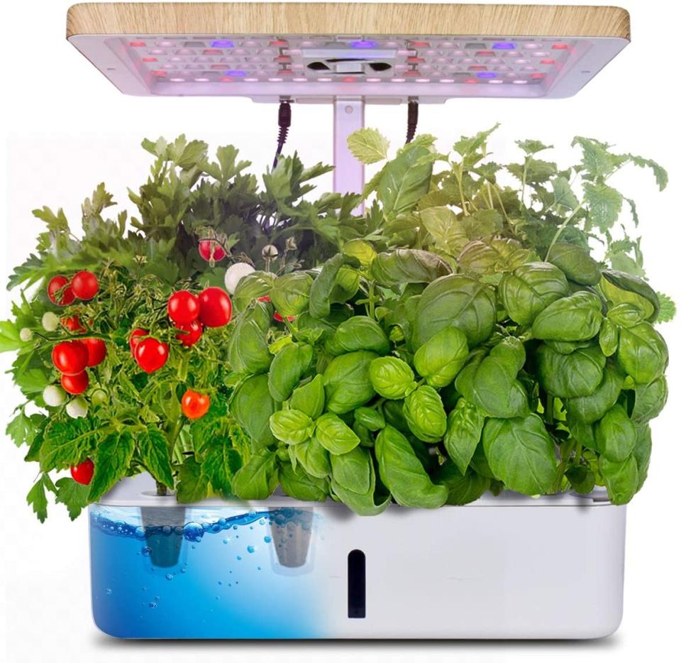 moistenland hydroponics growing system