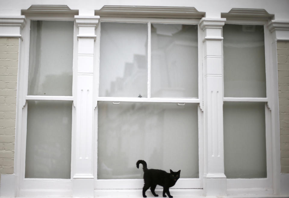 A black kitten waits to be let back into its home in Wimbledon, south west London July 30, 2013. Property prices are rising at their fastest pace in three years, according to Nationwide, a building society. In London, the best-performing region, prices are already 5 percent above their 2007 peak. Photograph taken on  July 30, 2013.  REUTERS/Andrew Winning  (BRITAIN - Tags: BUSINESS REAL ESTATE)