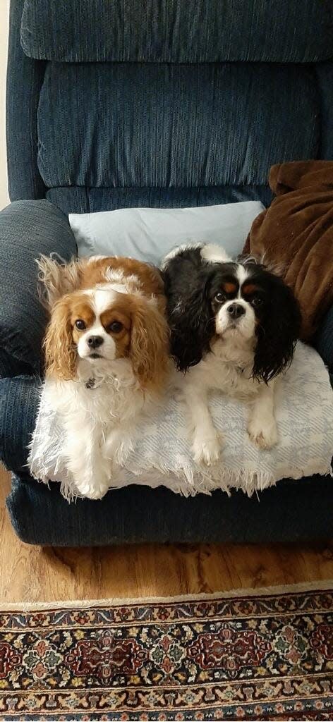 Gracie, left, and her grandpa Jax.