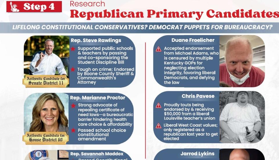 Screenshot of the Boone County Republican mailer