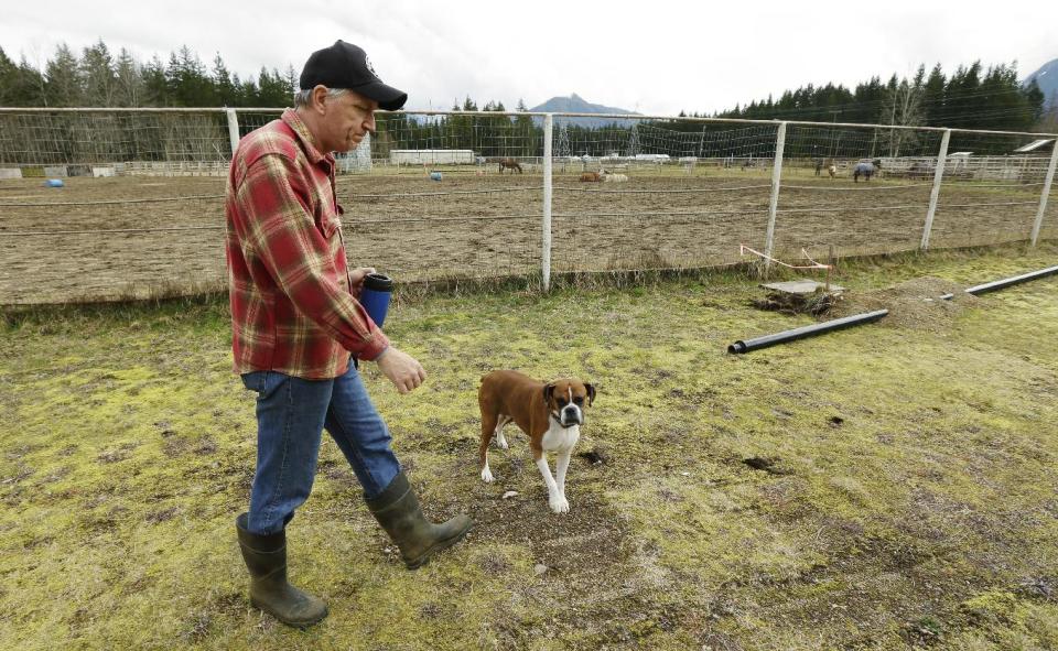 Tom Gent, and his dog Tiny, walk Wednesday, March 26, 2014, past the rodeo area of the Darrington Fairgrounds in Darrington, Wash., where Gent is caring for horses who were displaced by the massive mudslide that hit the area last Saturday. (AP Photo/Ted S. Warren)