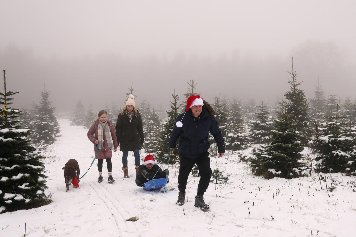 The Abell family walk through the Bradgate Christmas Tree Farm near Newtown Linford after snowfall in Leicestershire, central England, on December 3, 2023. (Photo by Darren Staples / AFP) (Photo by DARREN STAPLES/AFP via Getty Images)