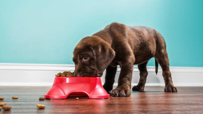 cmannphoto / Getty Images/iStockphoto