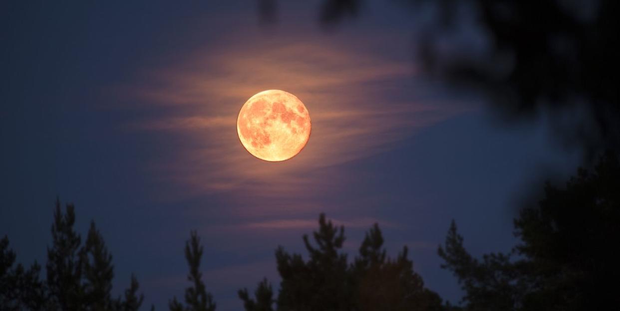 Photo credit: Dag Sundberg - Getty Images