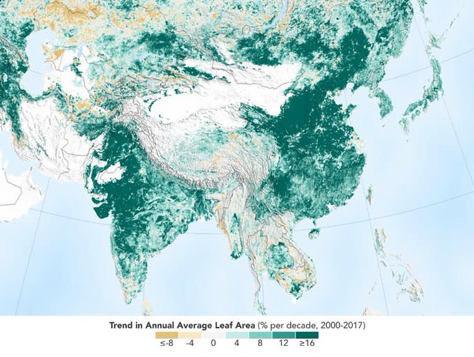 Over the last two decades, the Earth has seen an increase in foliage around the planet, measured in average leaf area per year on plants and trees. Data from NASA satellites shows that China and India are leading the increase in greening on land. The effect stems mainly from ambitious tree planting programs in China and intensive agriculture in both countries.