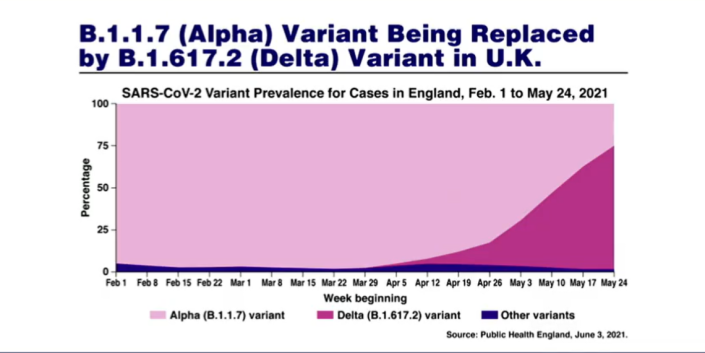 The Delta coronavirus variant is replacing the once dominant Alpha variant in the U.K.
