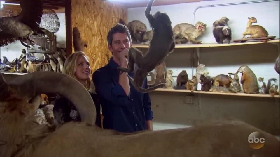 Arie doing his best to hide his true feelings about Kendall’s love of taxidermy.