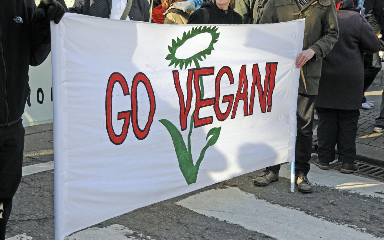 Go Vegan banner at the Climate Change March in London