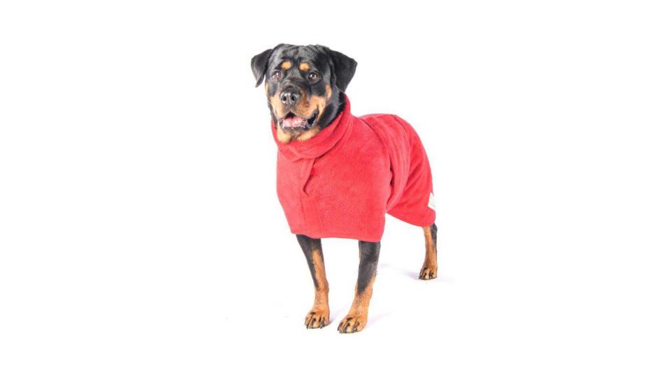 Ruff & Tumble Dog Drying Coat