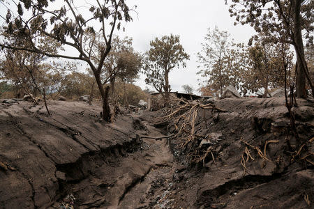 A view of an affected area after the eruption of the Fuego volcano in San Miguel, Escuintla, Guatemala, June 8, 2018. REUTERS/Luis Echeverria