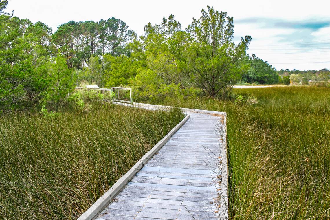The Charles Pinckney National Historic Site in Mount Pleasant was the working farm for Charles Pinckney and his son, also named Charles Pinckney. The plantation grew and sold cotton and indigo, as well as truck vegetables and had a schooner dock on nearby Horlbeck Creek. Today, a marsh boardwalk takes visitors across the high marsh along the creek to a viewing platform, where wild birds and other Lowcountry wildlife can be easily observed.
