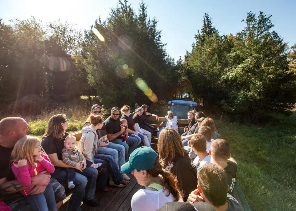 Visitors to the Blackbird Creek Reserve Fall Festival take a tractor ride through the reserve in Townsend.