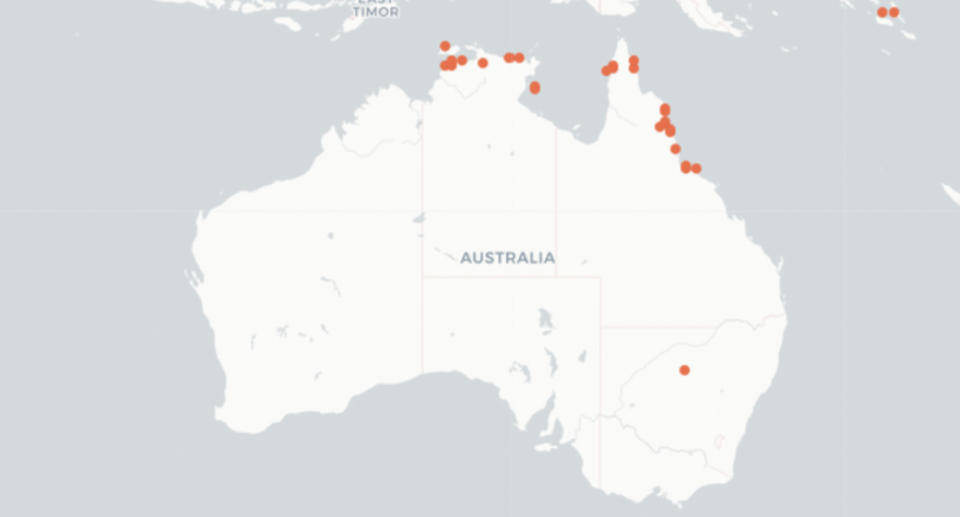 A map of Australia shows that little file snakes are most commonly spotted on the northern coast of Queensland and the Northern Territory. 