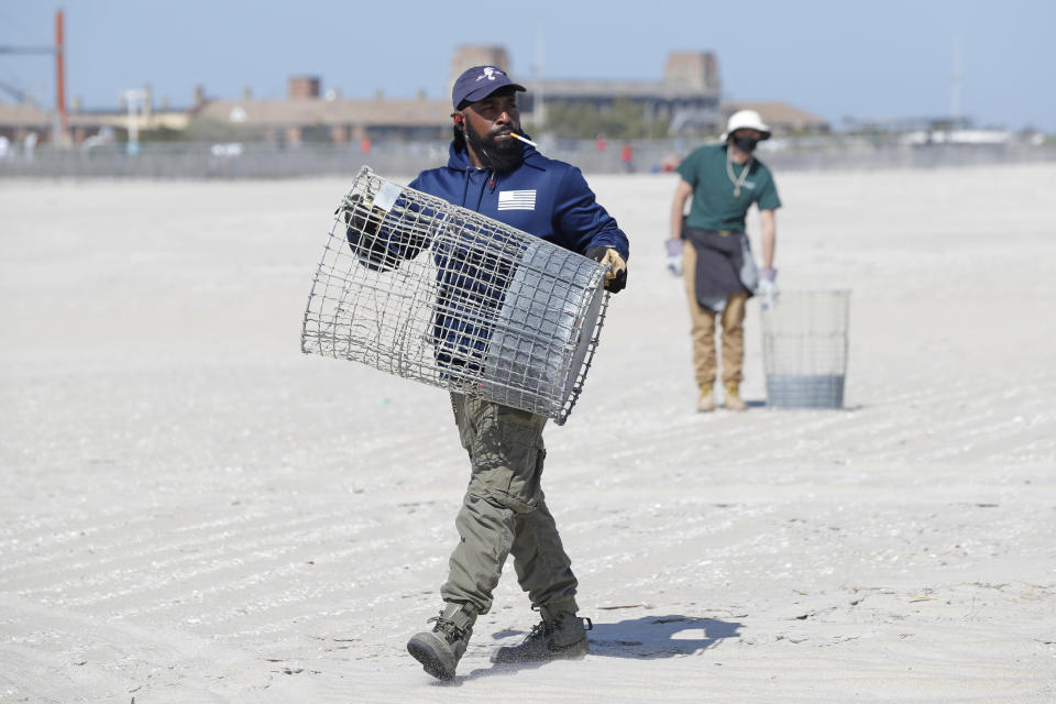 Workers set out trash cans in preparation for crowds flocking to the beach during the upcoming holiday weekend, Thursday, May 21, 2020, at Jones Beach in Wantagh, New York. As pandemic lockdowns ease across the United States, millions of Americans are set to take tentative steps outdoors to celebrate Memorial Day, the traditional start of summer. But public health officials are concerned that if people congregate in crowds or engage in other risky behaviors, the long weekend could cause the coronavirus to come roaring back. (AP Photo/Kathy Willens)